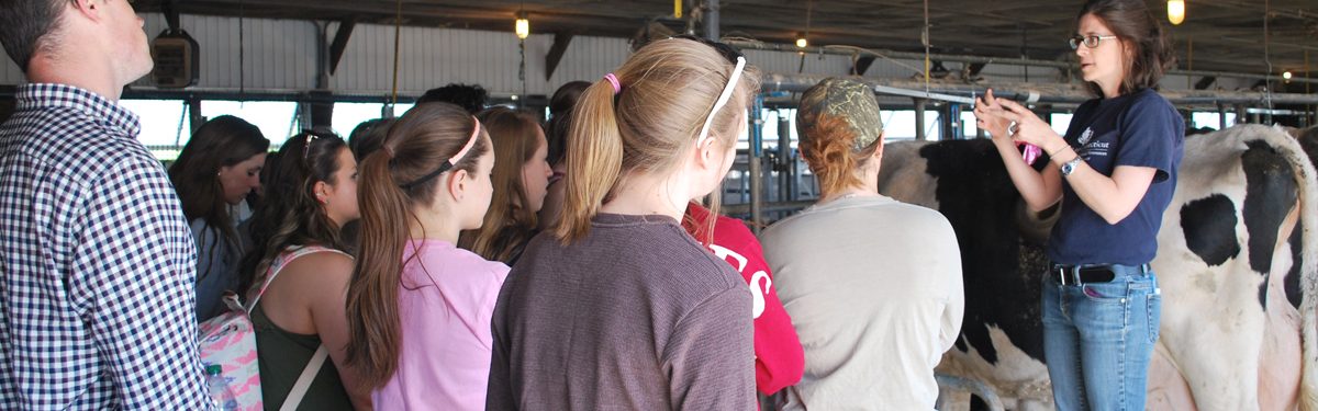 Dr. Amy Safran conducting class in the Kellogg Dairy Center