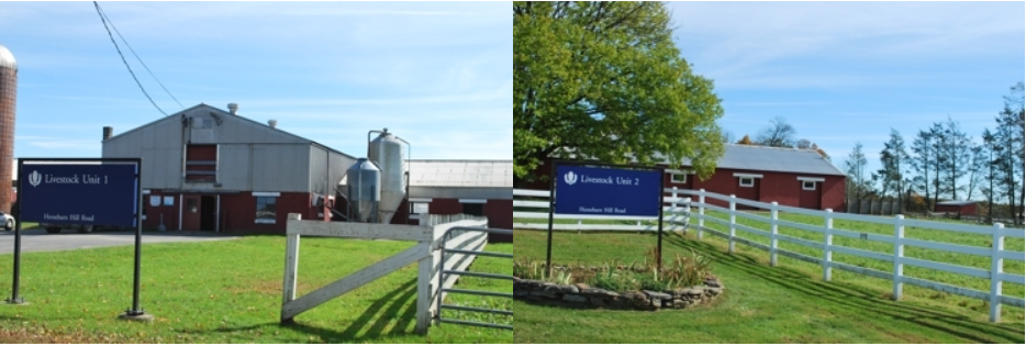 front views of livestock units 1 and 2