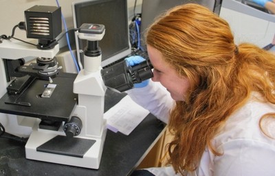 Student researchers