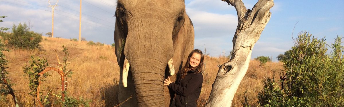 Student posing with elephant