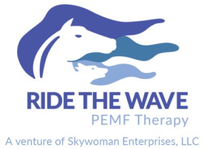 Ride the Wave PEMF Therapy logo