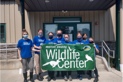 Meaghan Shannon, Wildlife Internship with the Mercer County Wildlife Center (Titusville, NJ, Summer)